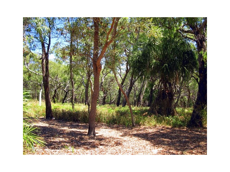 Lot 36, 552 Springs Road, Agnes Water QLD 4677
