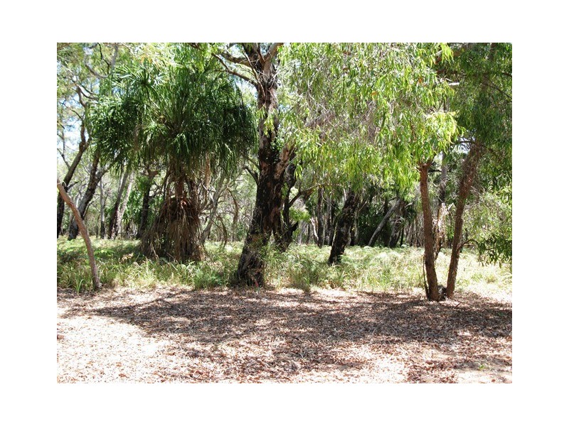 Lot 36, 552 Springs Road, Agnes Water QLD 4677