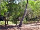 Lot 36, 552 Springs Road, Agnes Water QLD 4677