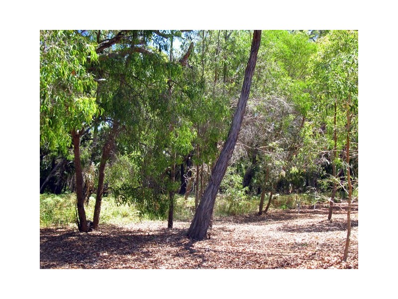 Lot 36, 552 Springs Road, Agnes Water QLD 4677