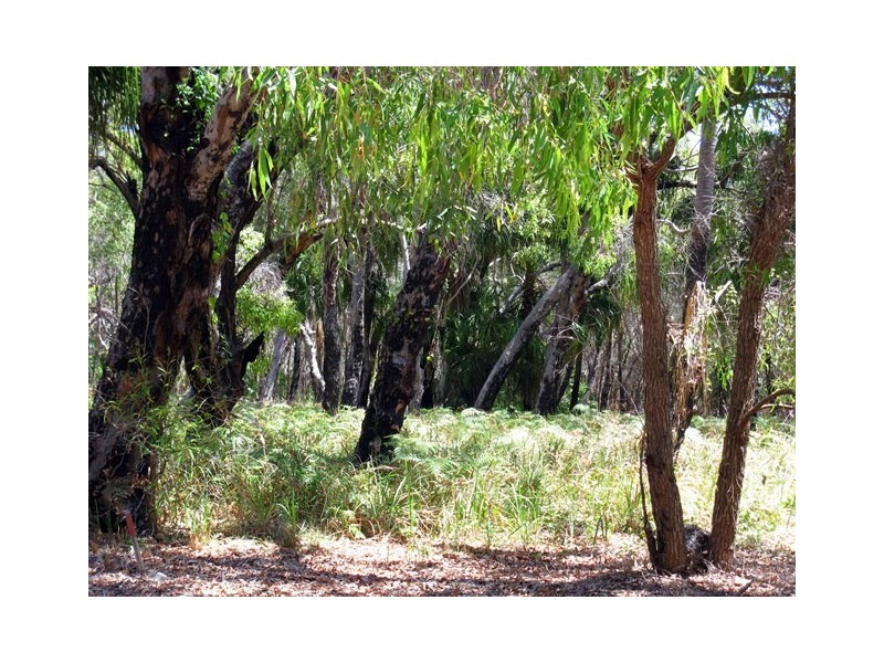 Lot 36, 552 Springs Road, Agnes Water QLD 4677