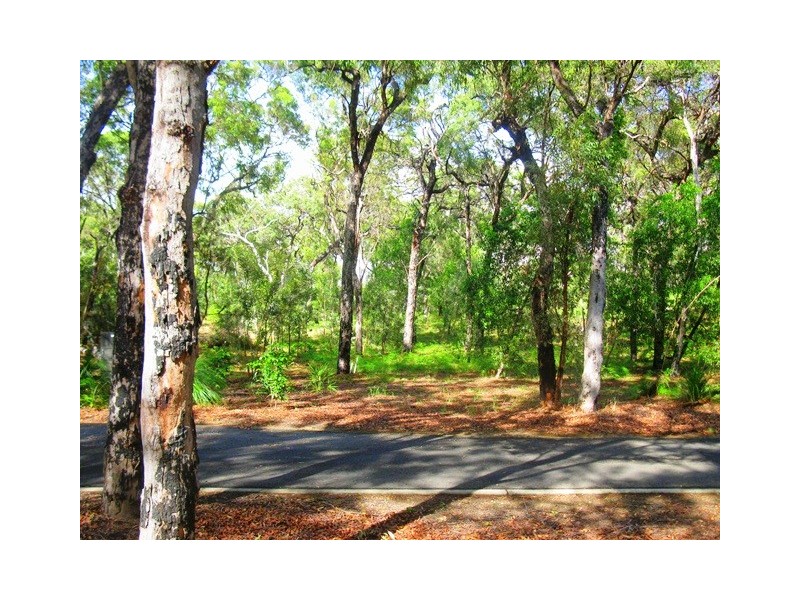 Lot 36, 552 Springs Road, Agnes Water QLD 4677