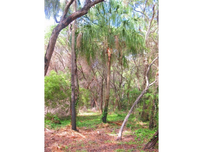 Lot 36, 552 Springs Road, Agnes Water QLD 4677