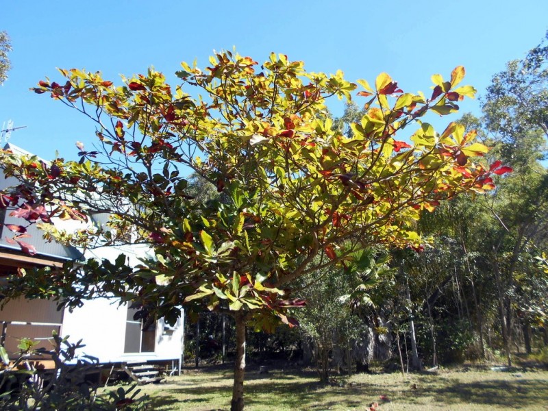 Agnes Water QLD 4677