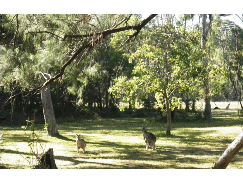 116 Masthead Drive, Agnes Water QLD 4677