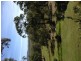 180 Masthead, Agnes Water QLD 4677