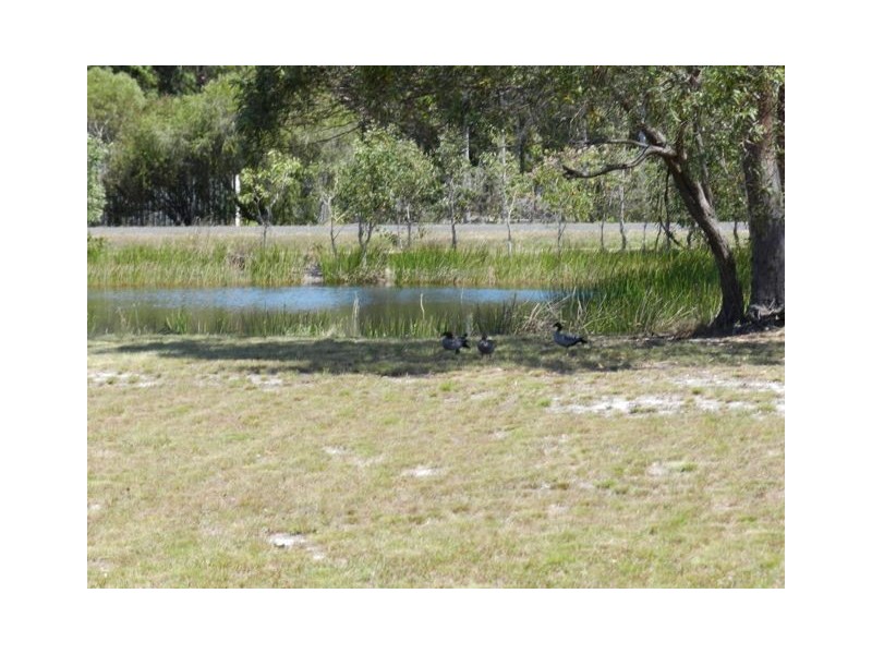 169 Bicentennial Drive, Agnes Water QLD 4677