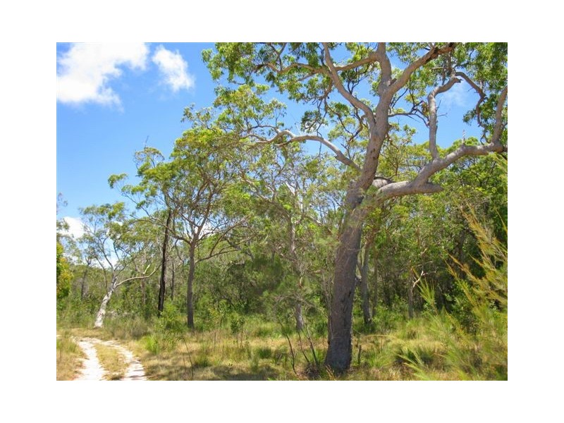 307 streeter, Agnes Water QLD 4677