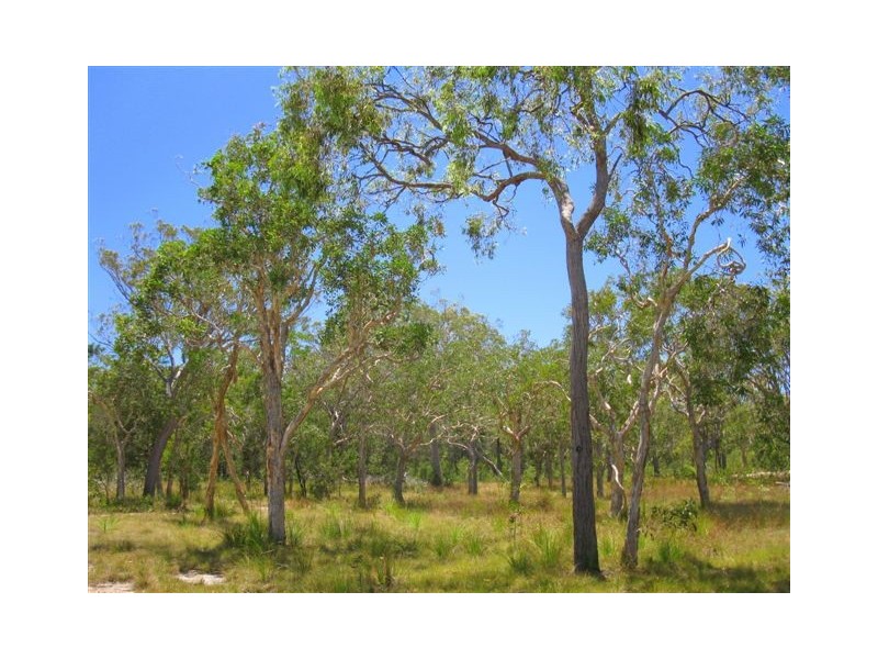 307 streeter, Agnes Water QLD 4677