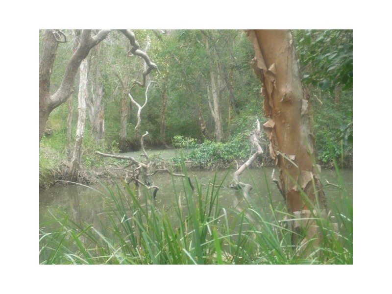 184 Murphy Road, Captain Creek QLD 4677