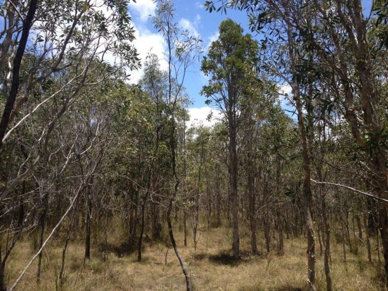 Agnes Water QLD 4677