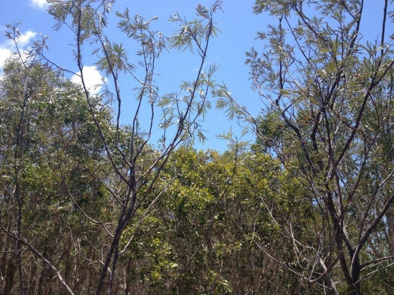 Agnes Water QLD 4677