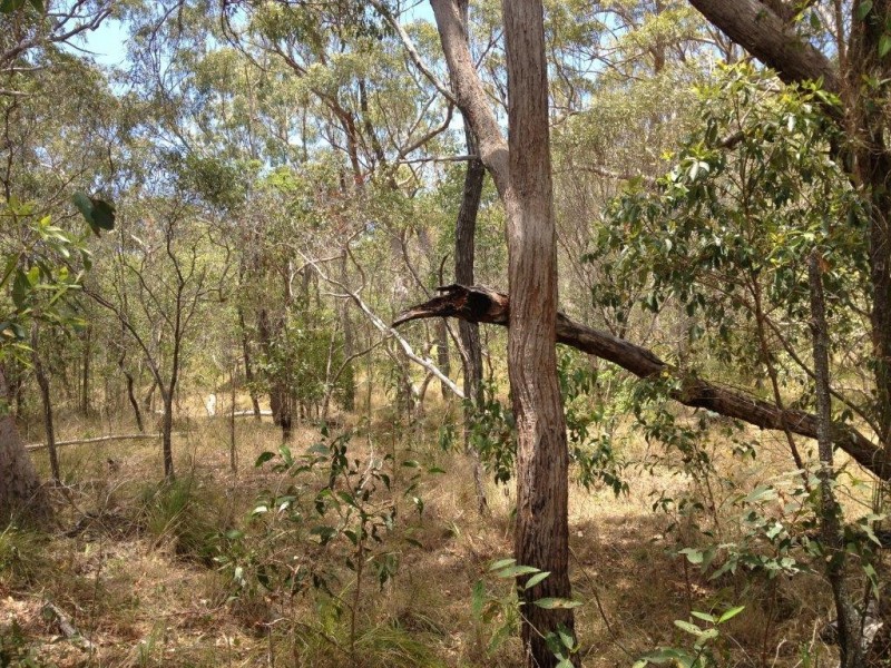 Agnes Water QLD 4677