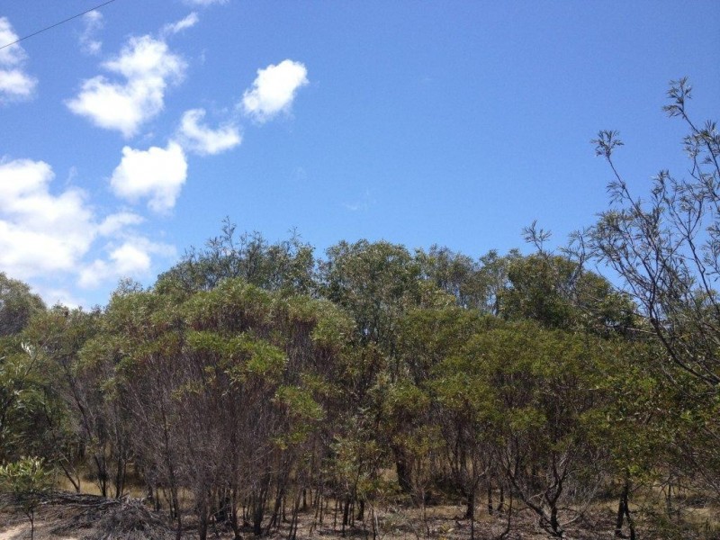 LOT 292 Streeter Drive, Agnes Water QLD 4677