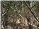 LOT 292 Streeter Drive, Agnes Water QLD 4677