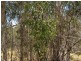 LOT 292 Streeter Drive, Agnes Water QLD 4677