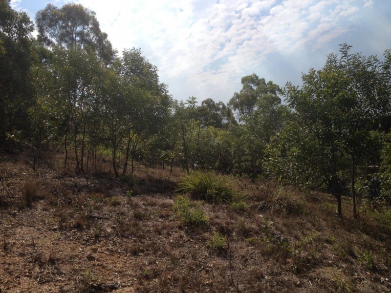 6 Wesbter Court, Agnes Water QLD 4677