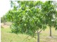 159 Masthead Dr, Agnes Water QLD 4677