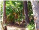 2 Beach Houses Estate Road, Agnes Water QLD 4677