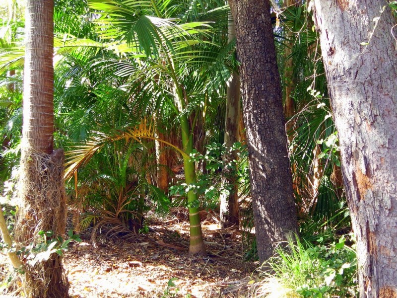 2 Beach Houses Estate Road, Agnes Water QLD 4677