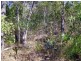 22 Bayview Cl, Agnes Water QLD 4677