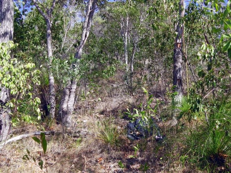22 Bayview Cl, Agnes Water QLD 4677