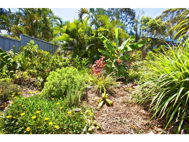 Agnes Water QLD 4677