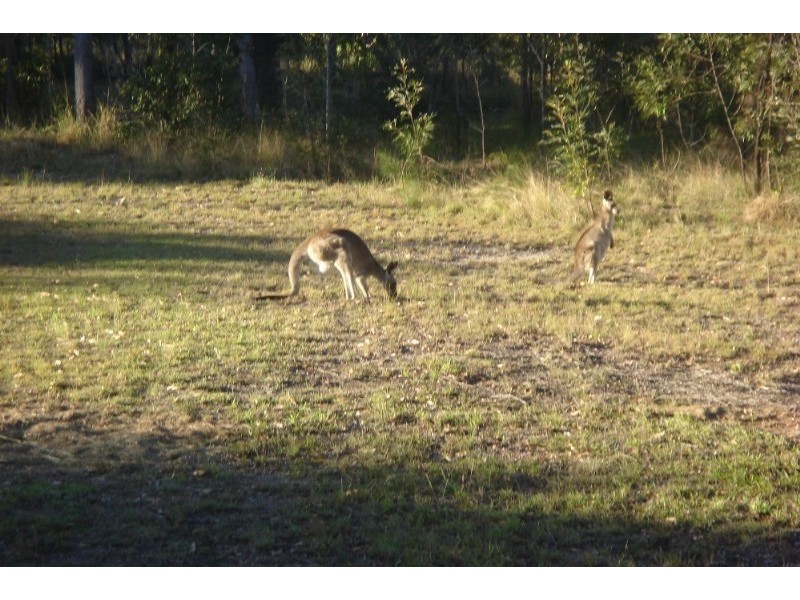 223 Masthead Drive, Agnes Water QLD 4677