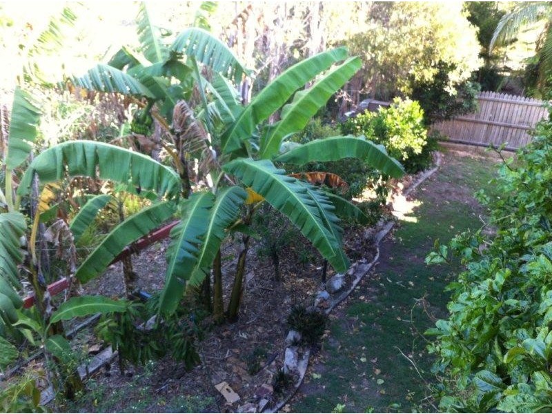 3/21 Starfish Street, Agnes Water QLD 4677