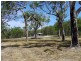 169 Streeter Drive, Agnes Water QLD 4677