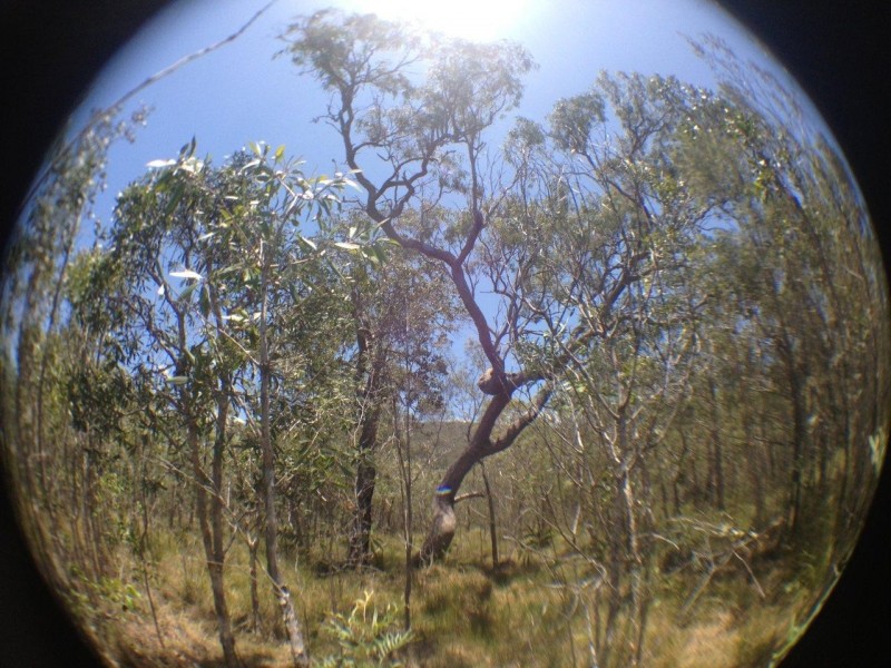 Lot 257 Allingham Way, Agnes Water QLD 4677