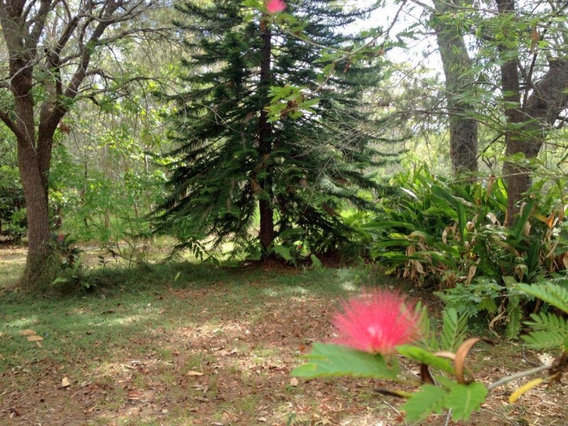 Agnes Water QLD 4677