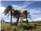 1 The Promenade, Agnes Water QLD 4677