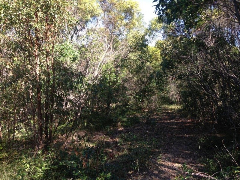 Agnes Water QLD 4677