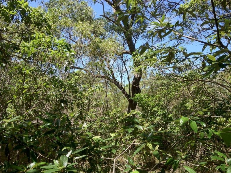 Agnes Water QLD 4677