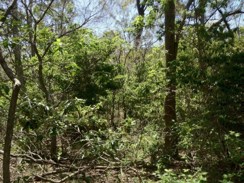 Agnes Water QLD 4677