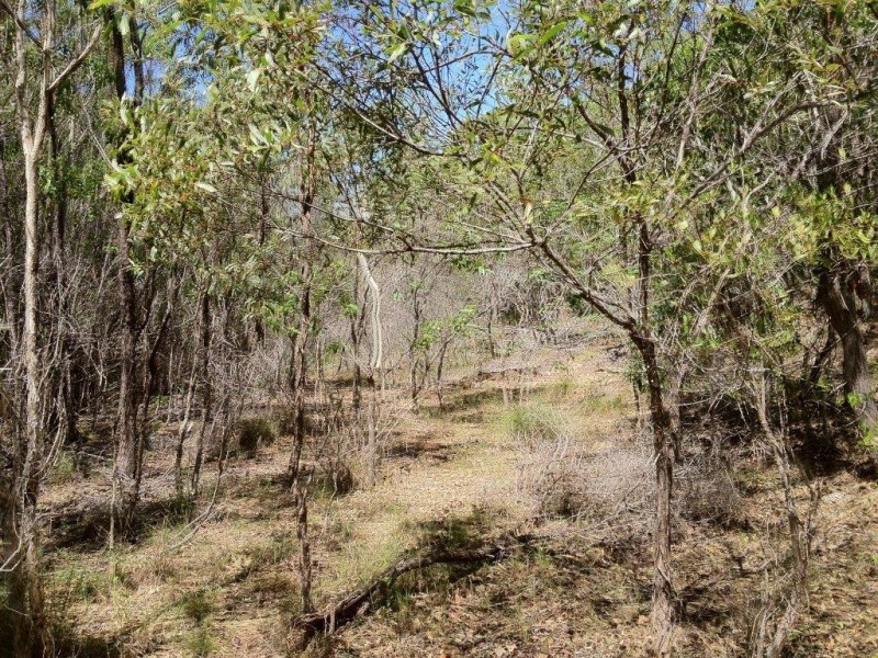 Agnes Water QLD 4677