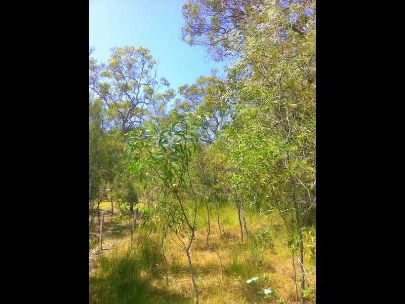 109 Streeter Drive, Agnes Water QLD 4677