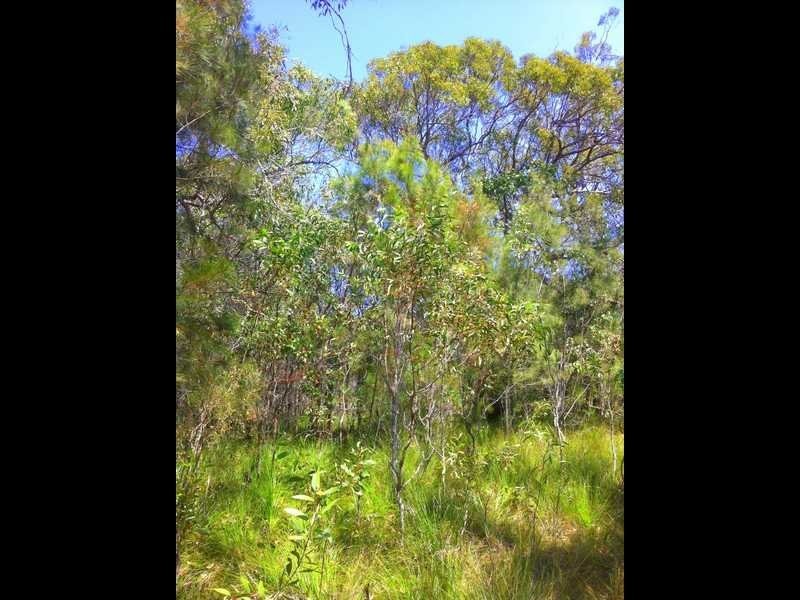 109 Streeter Drive, Agnes Water QLD 4677