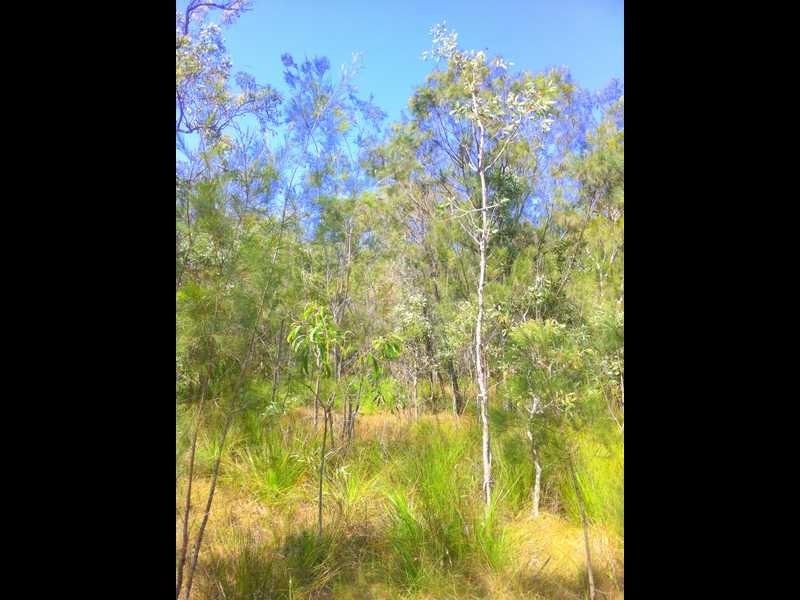 109 Streeter Drive, Agnes Water QLD 4677