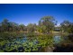 484 Anderson Way, Agnes Water QLD 4677