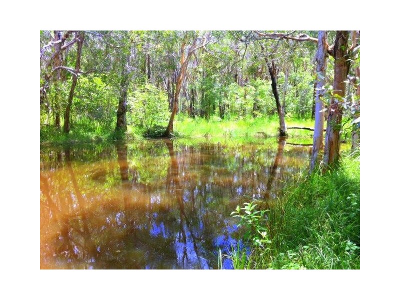 512 Murphy Rd, Captain Creek QLD 4677