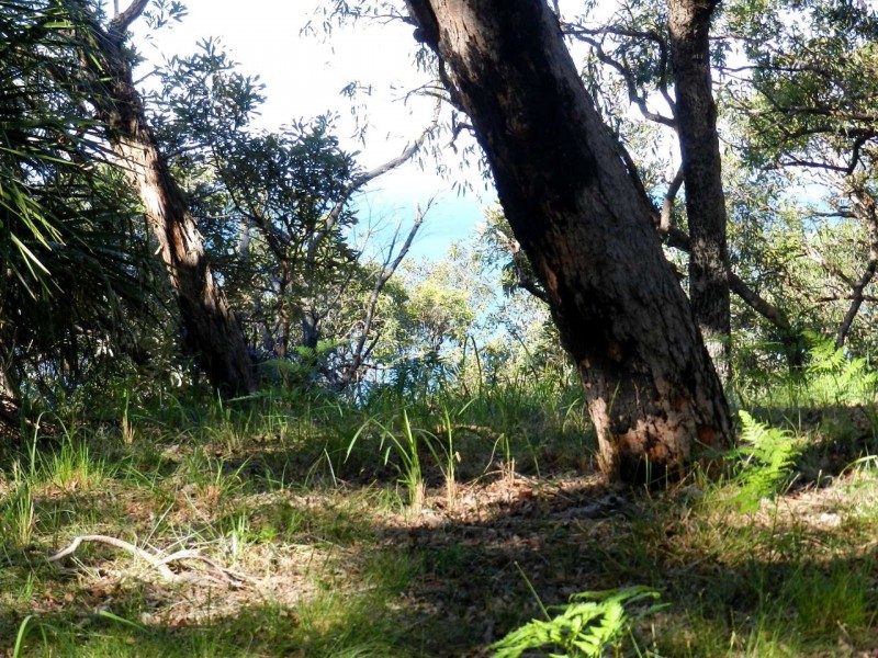 Agnes Water QLD 4677