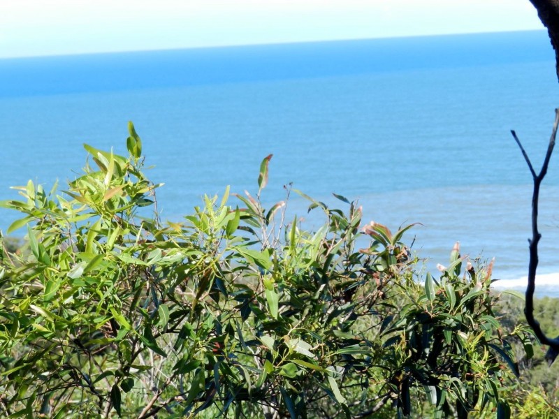 Agnes Water QLD 4677
