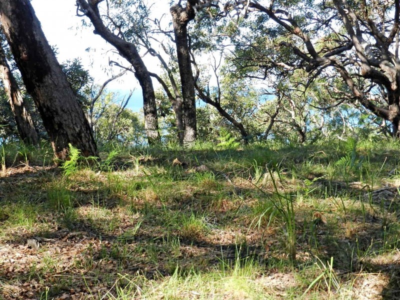 Agnes Water QLD 4677
