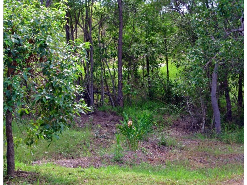 101 Mary Munro Cres, Agnes Water QLD 4677