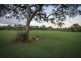 61 Bouch Crt, Agnes Water QLD 4677