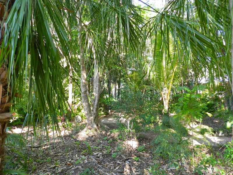 8 Watkins Rd, Agnes Water QLD 4677