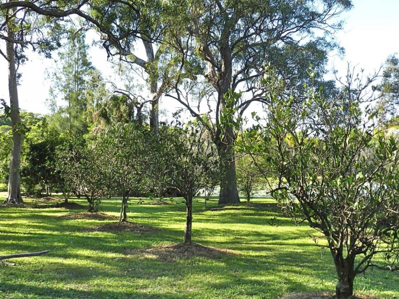 8 Watkins Rd, Agnes Water QLD 4677