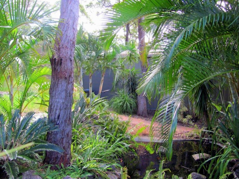 310 Anderson Way, Agnes Water QLD 4677